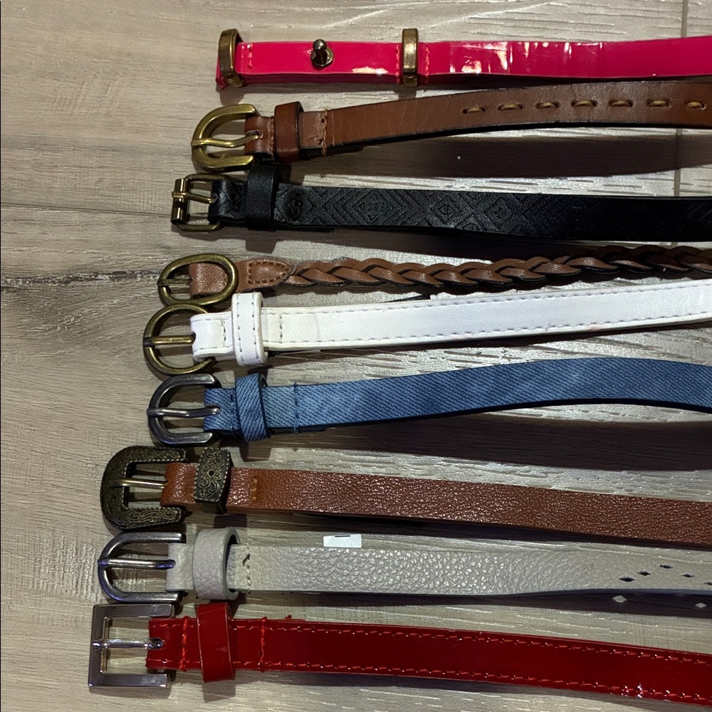 9 Assorted Colorful Skinny Belts